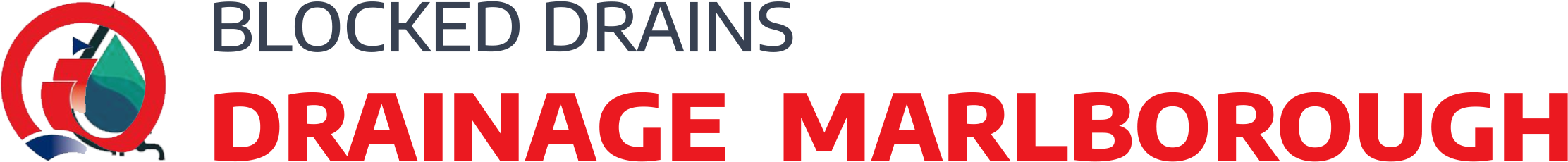 website logo